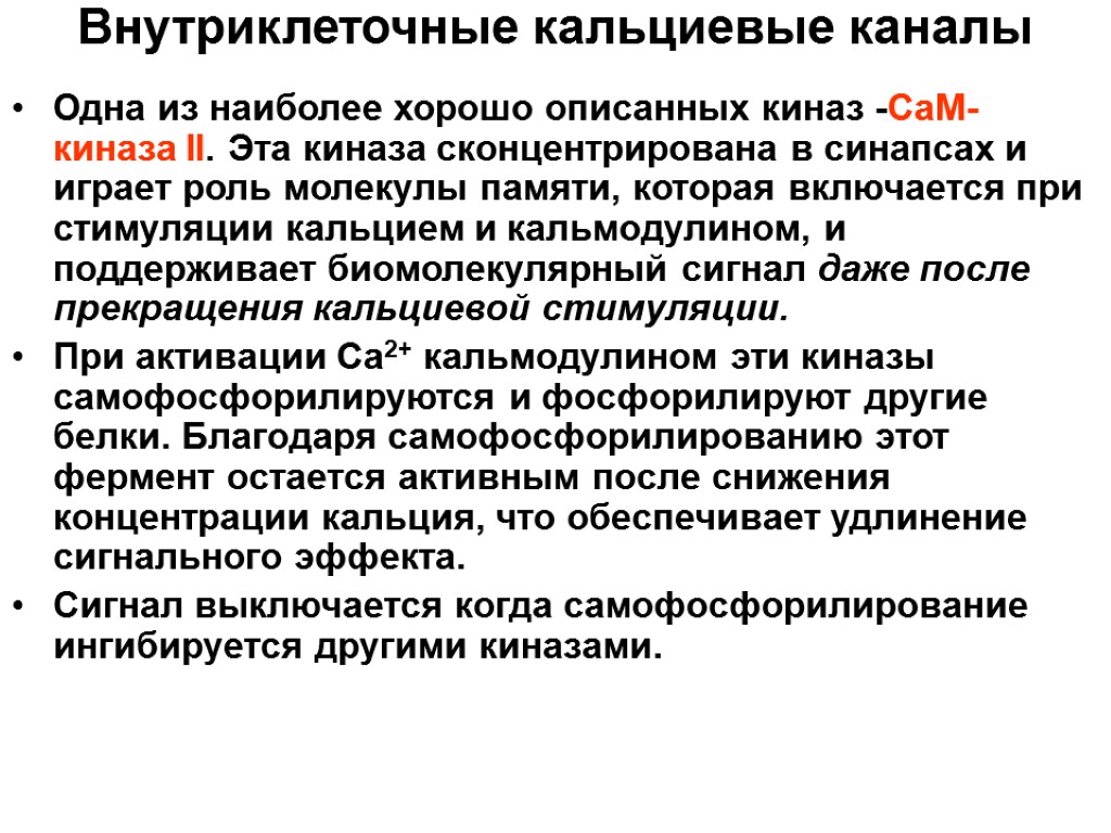 Внутриклеточные кальциевые каналы Одна из наиболее хорошо описанных киназ -СаМ-киназа II. Эта киназа сконцентрирована